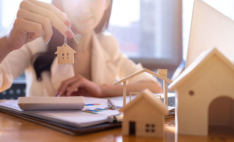 Property Selection & purchase 